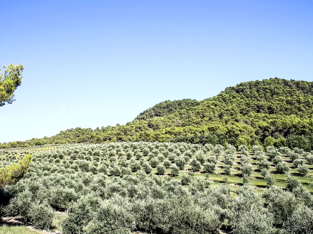 Maison de Vacances Grambois