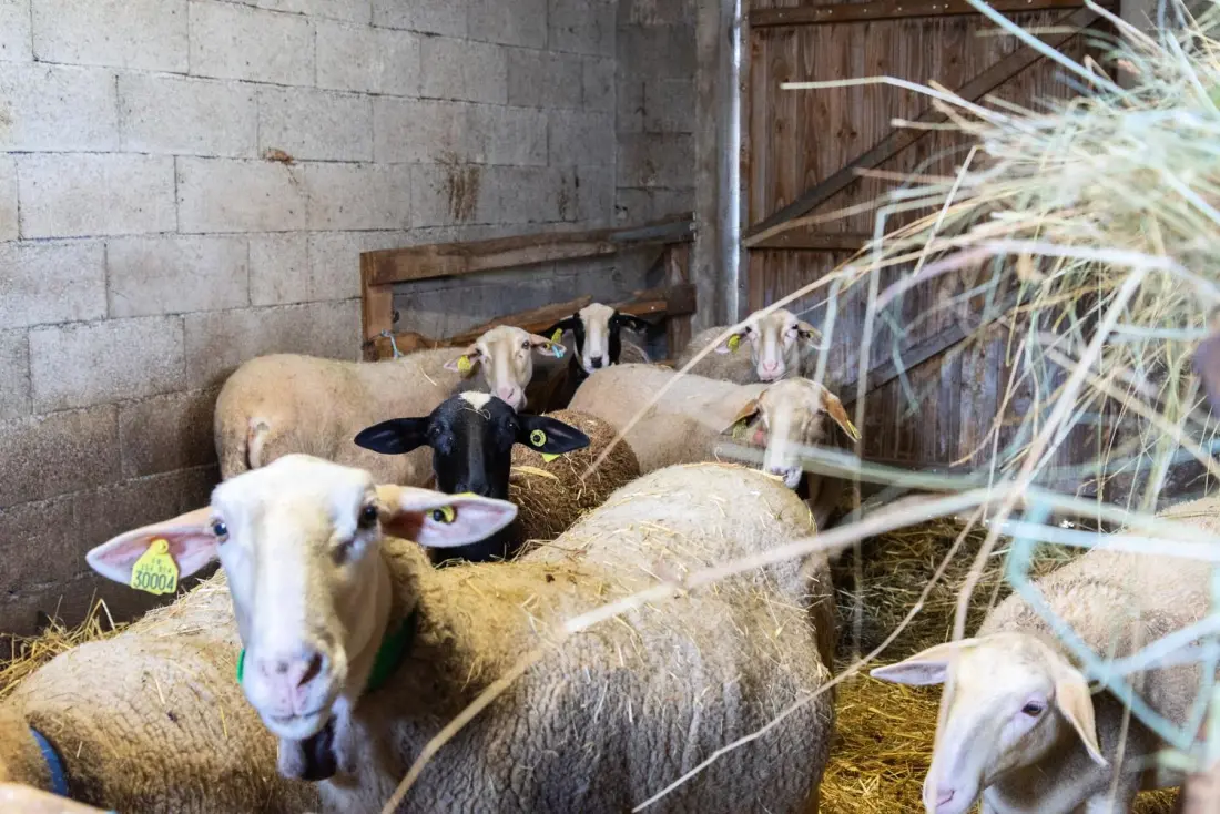Gîte de France Gîte de la grangette 5/6 personnes 3 épis