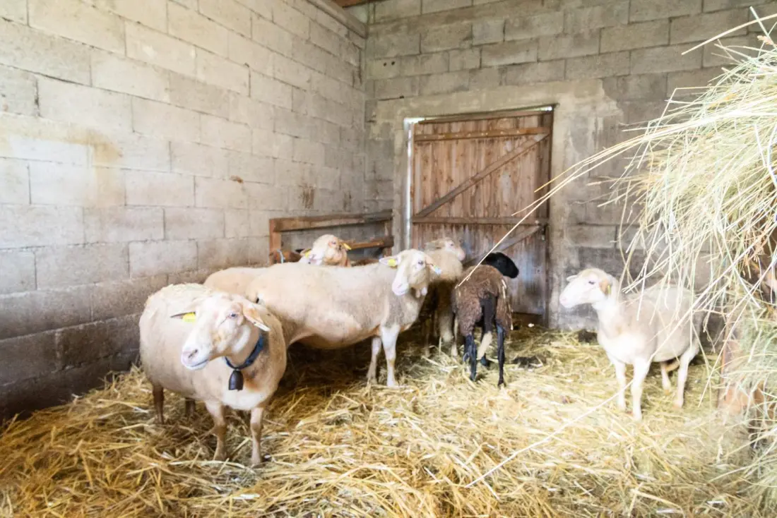Gîte de France Gîte de la grangette 5/6 personnes 3 épis