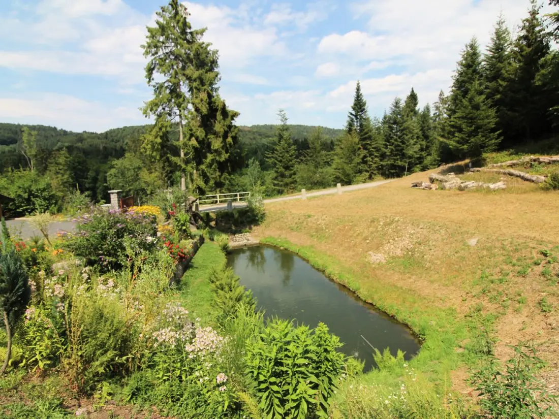 Maison de Vacances Granges-Aumontzey-Granges-sur-Vologne 2