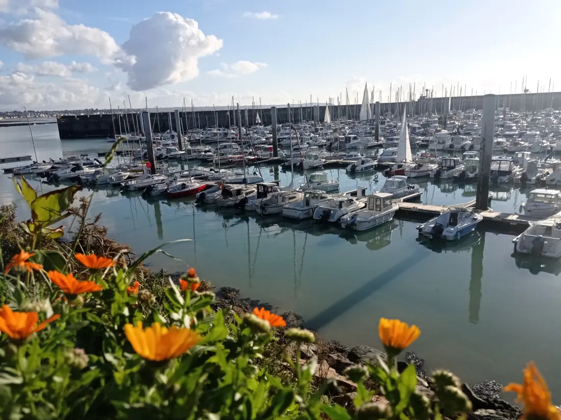 Location de Vacances Granville 115