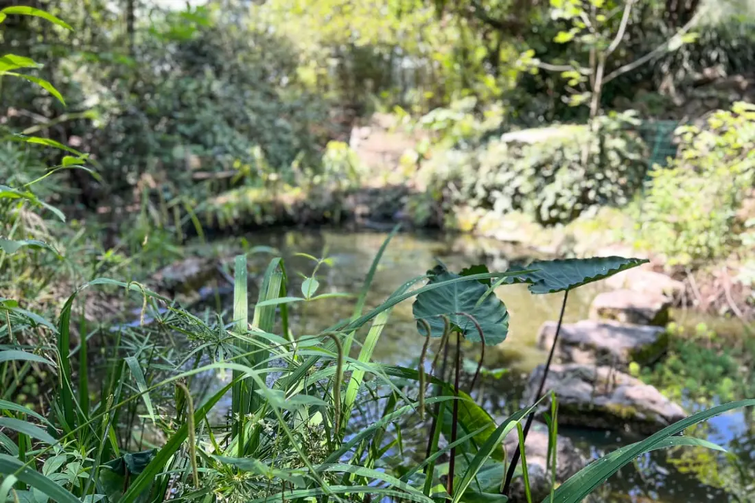 Serenity Villa Pour 8 By Sunset