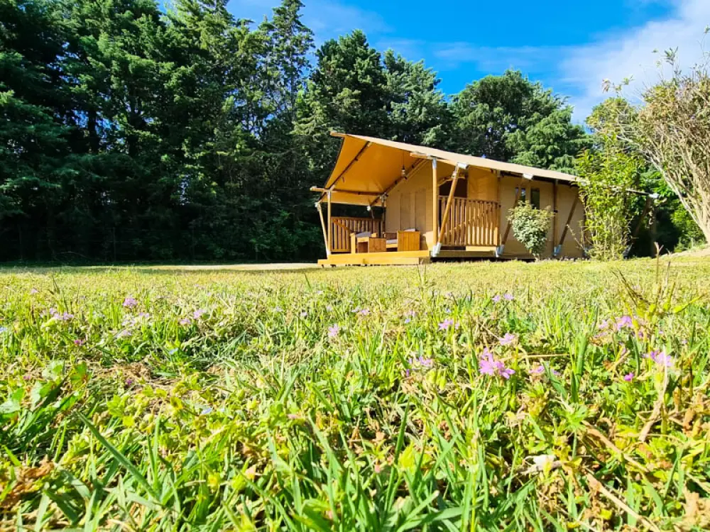 Flower Camping Les Micocouliers 3 étoiles★★★