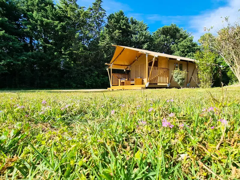 Flower Camping Les Micocouliers 3 étoiles★★★