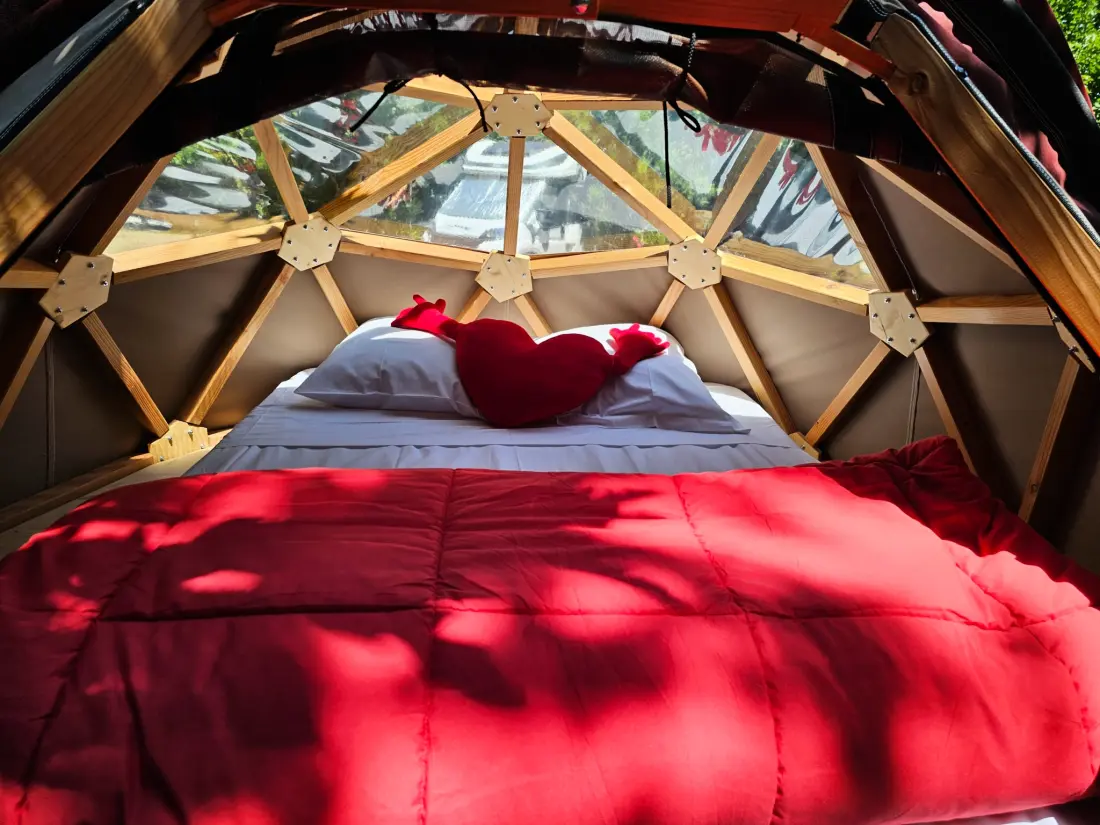 Flower Camping Les Micocouliers 3 étoiles★★★