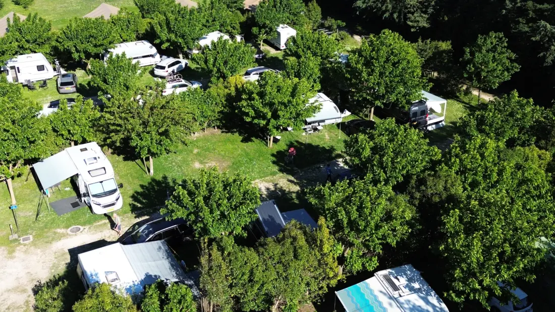 Flower Camping Les Micocouliers 3 étoiles★★★