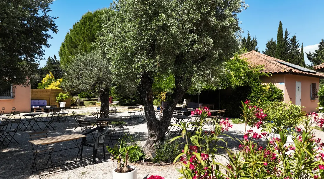 Flower Camping Les Micocouliers 3 étoiles★★★