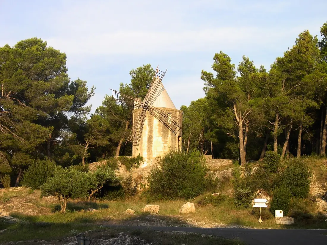 Flower Camping Les Micocouliers 3 étoiles★★★