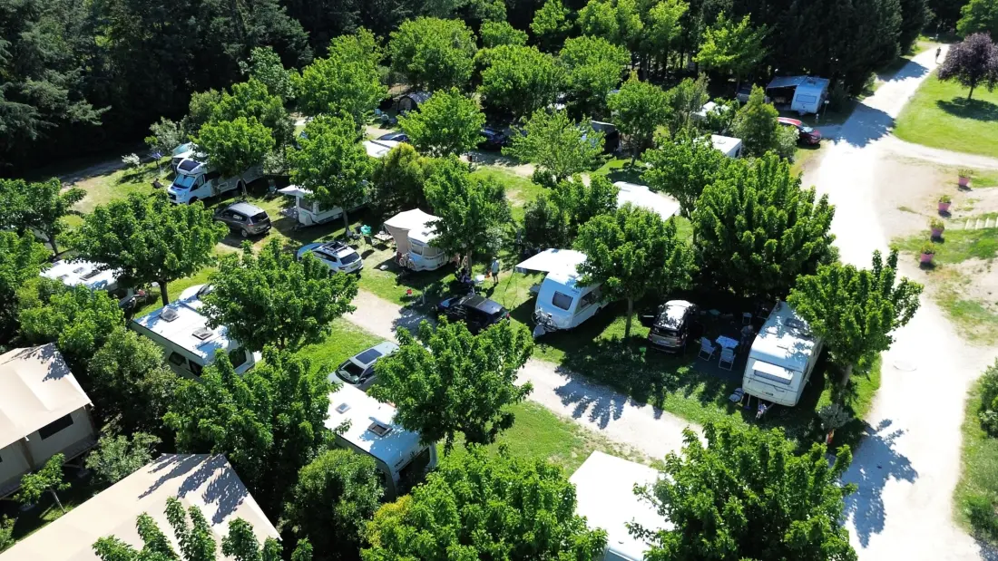 Flower Camping Les Micocouliers 3 étoiles★★★