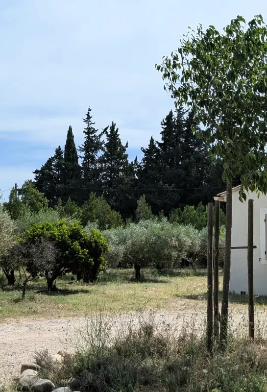 Maison Familiale Au Cœur De La Provence - Piscine
