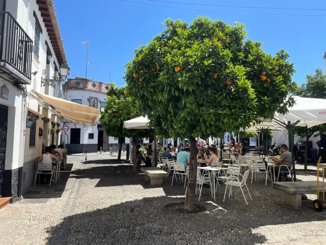 Location de Vacances Grenade 71