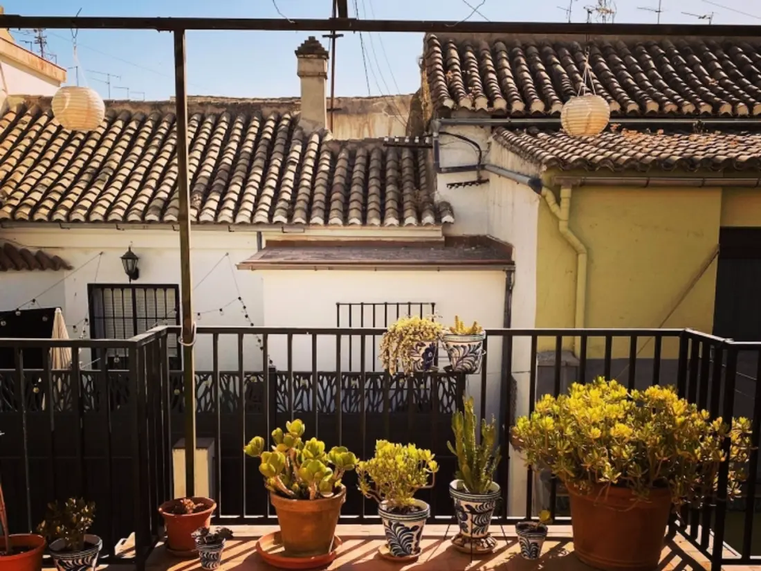 Location de Vacances Grenade 96