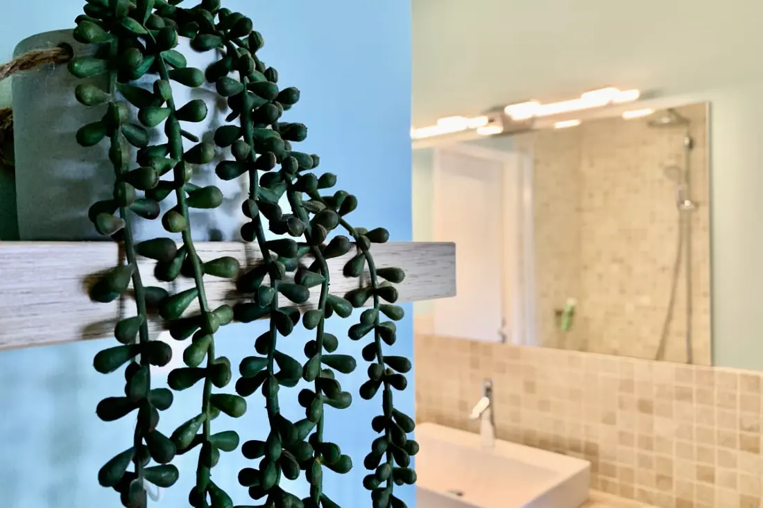 | La Perle🧿| Hypercentre| Rénové