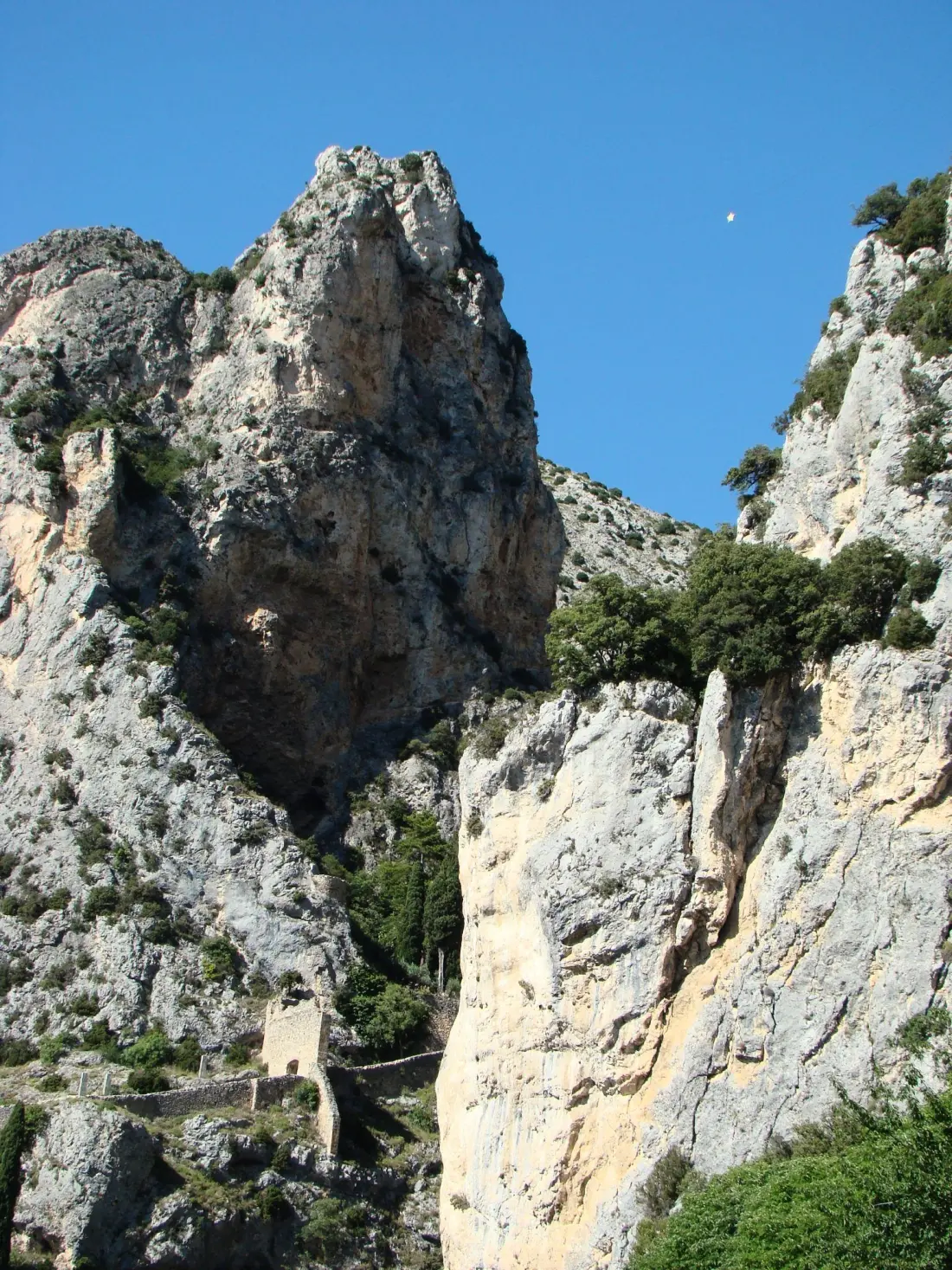 Camping La Pinède 4 étoiles★★★★