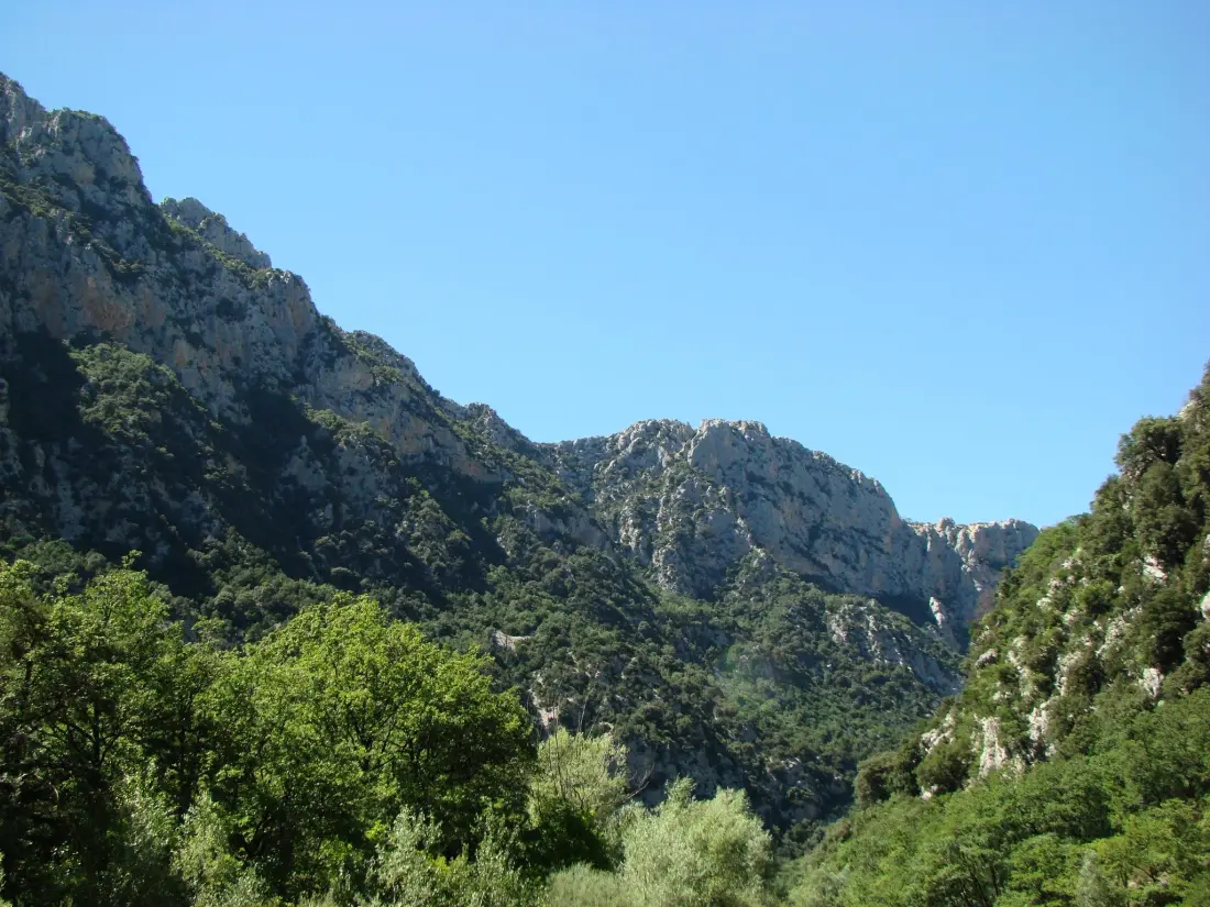 Camping La Pinède 4 étoiles★★★★