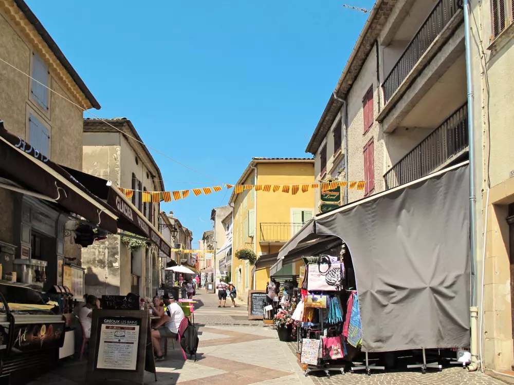 Maison de Vacances Gréoux-les-Bains