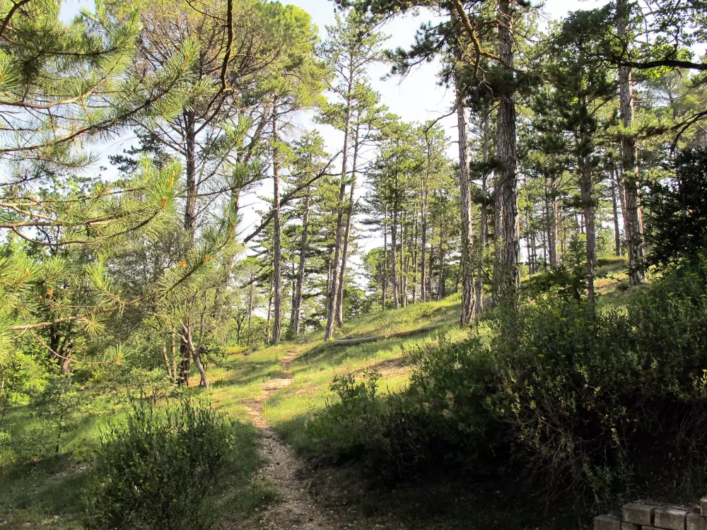 Maison de Vacances Gréoux-les-Bains