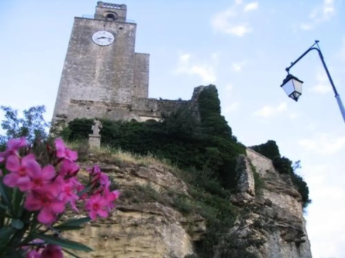 Flower Camping LES TRUFFIERES 3 étoiles★★★