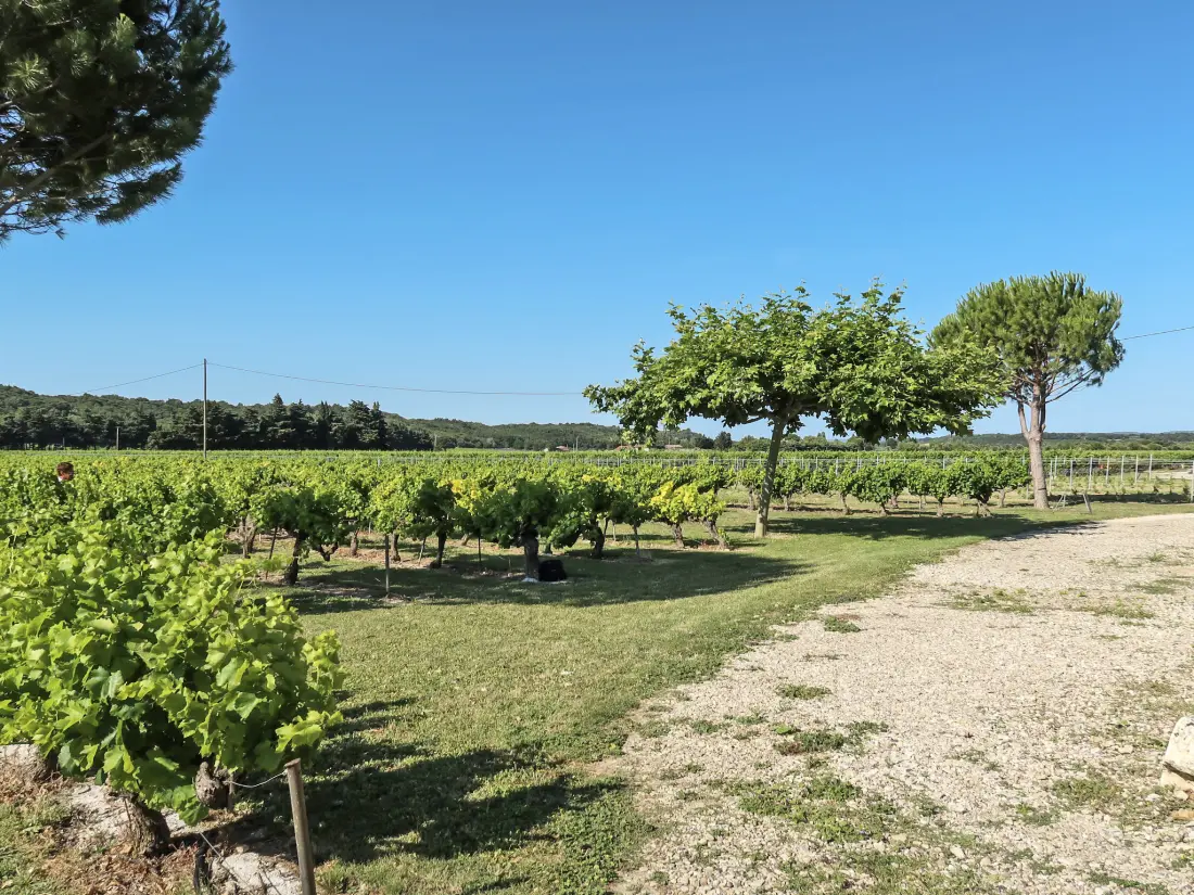 Maison de Vacances Grignan