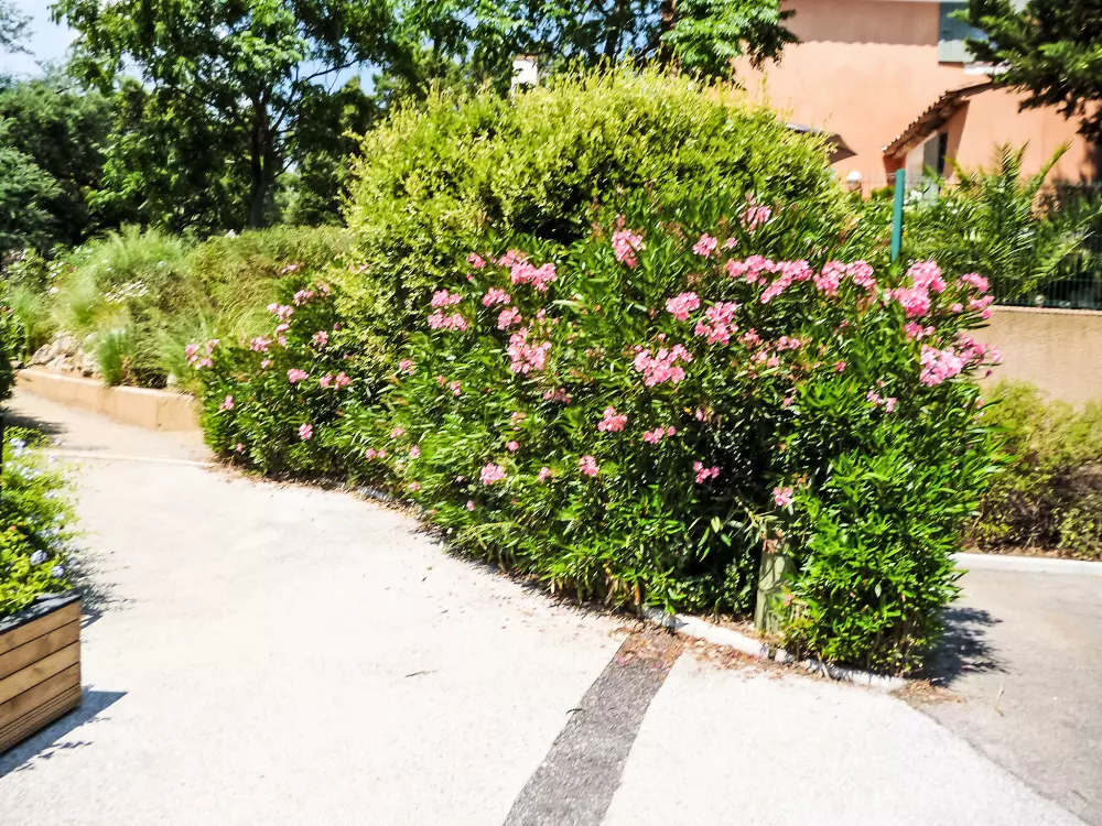 Résidence Les Restanques Golfe Saint Tropez