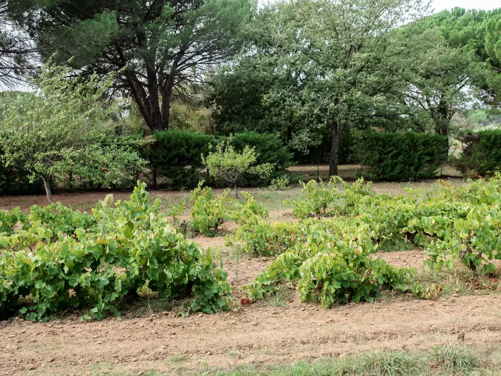 Maison de Vacances Grimaud