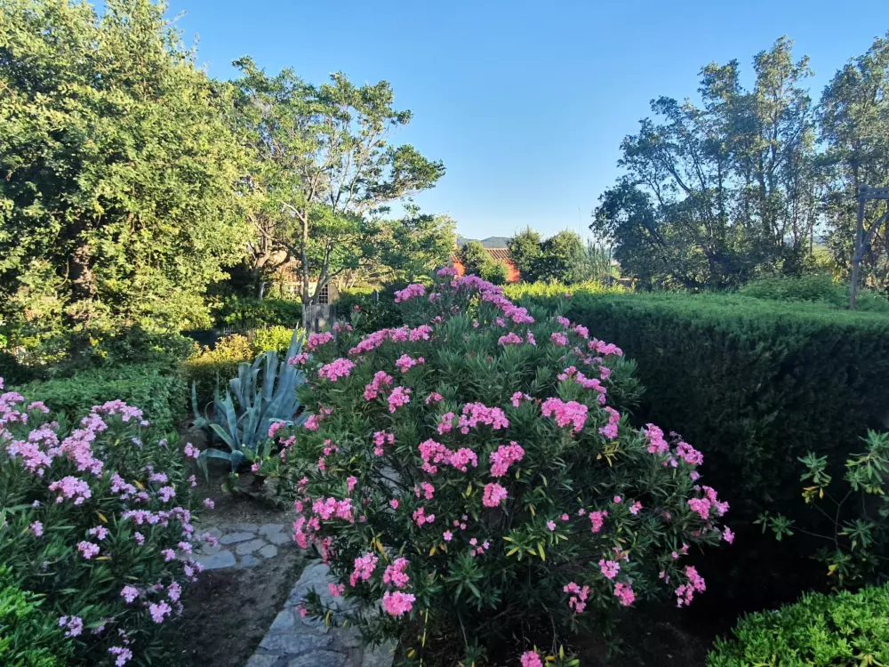 Maison de Vacances Grimaud