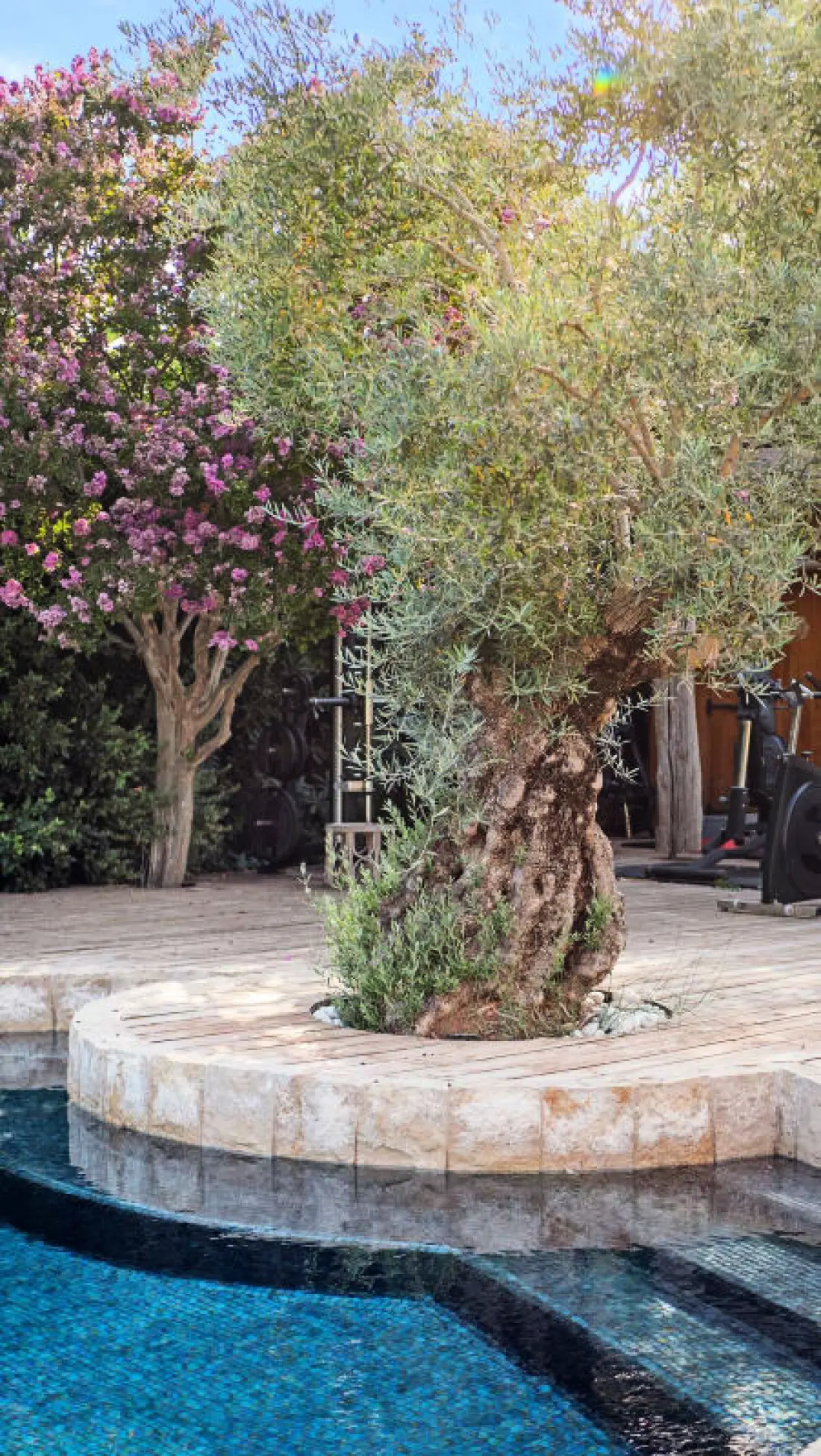 Villa - 250 M² - 5 Ch. - Piscine - Golfe St Tropez
