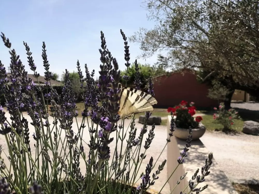 Domaine des Garrigues 3 étoiles★★★