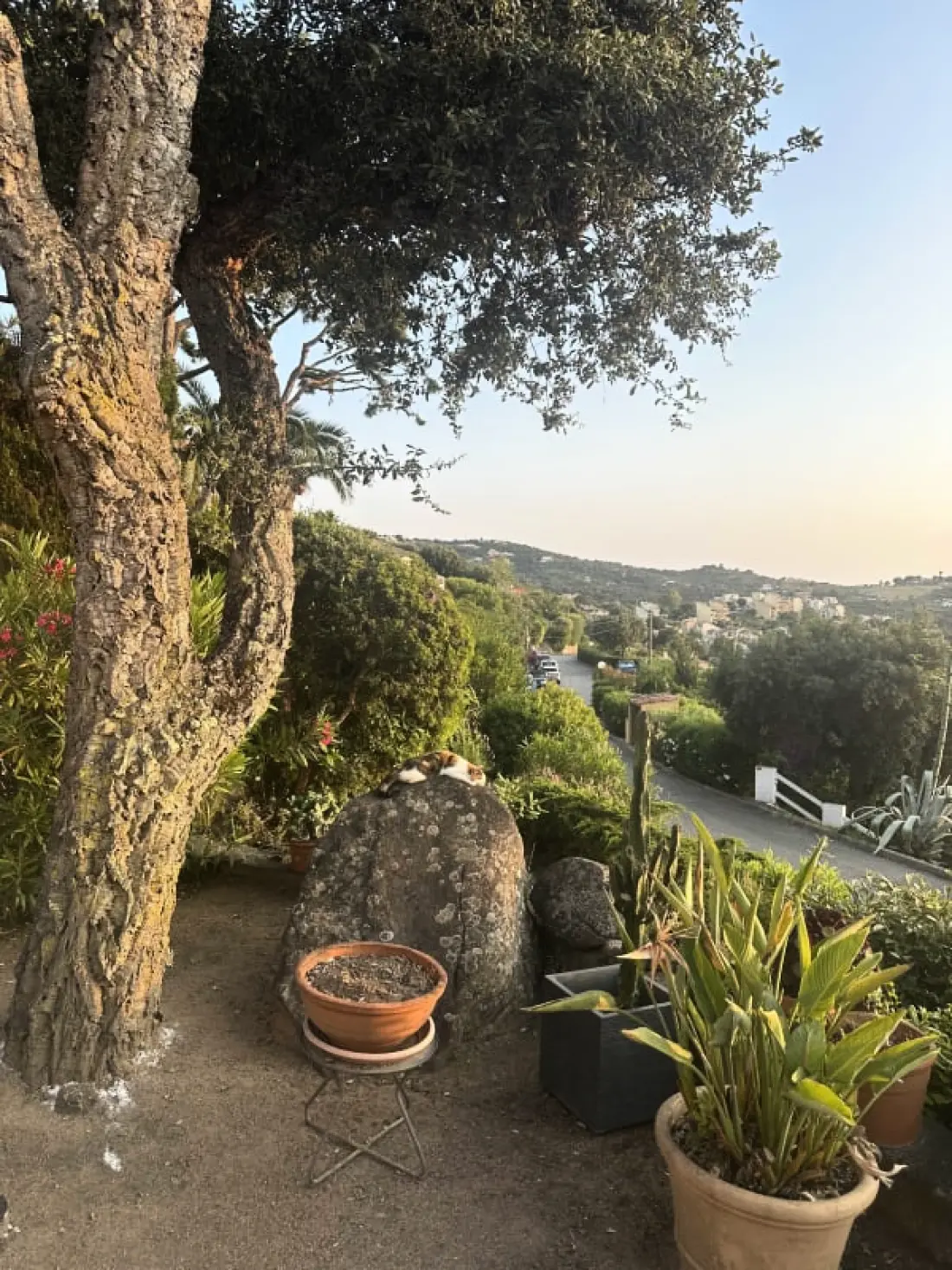 Maison Avec Vue Splendide - Grosseto-prugna