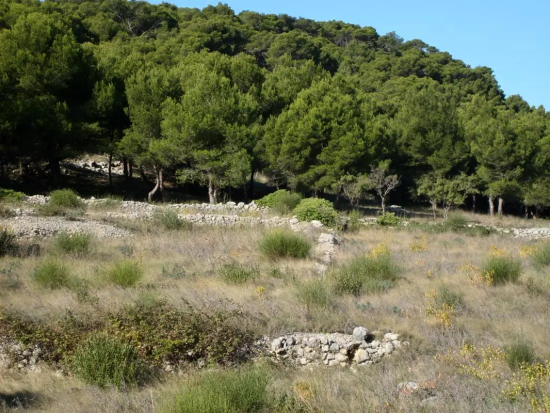 Gîte de France à Gruissan  6
