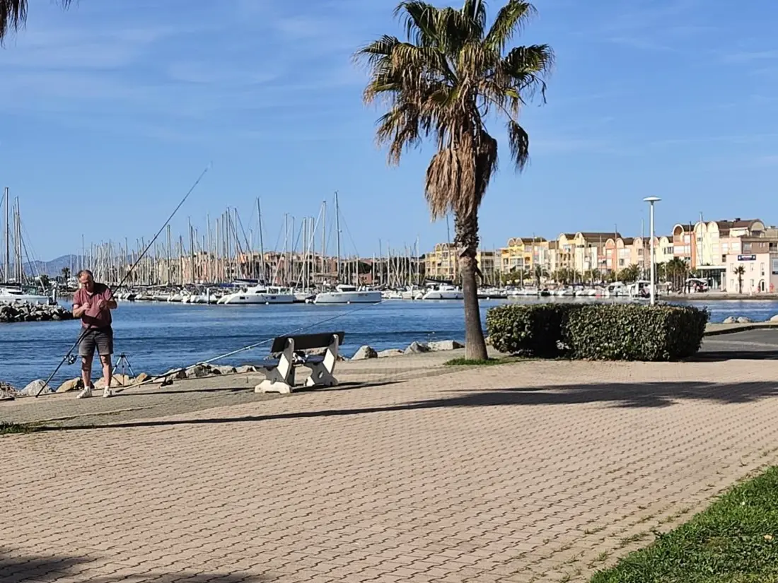 Location de Vacances Gruissan 285