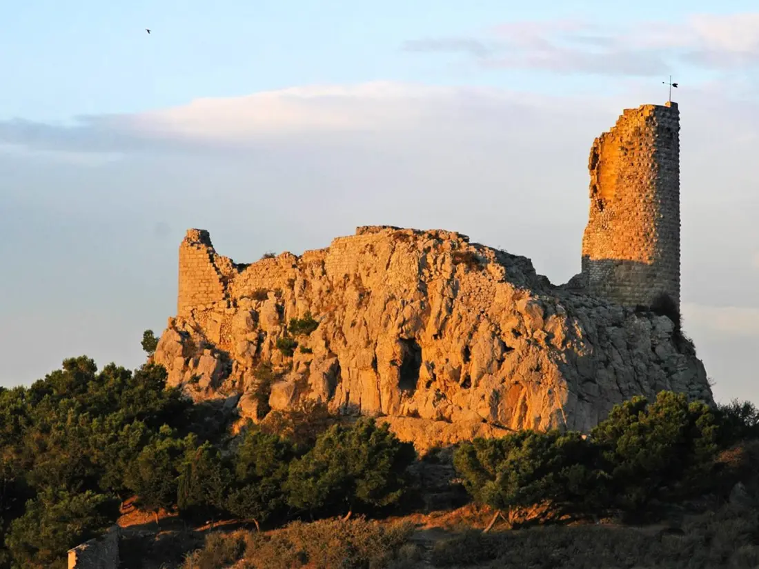 Location de Vacances Gruissan 366