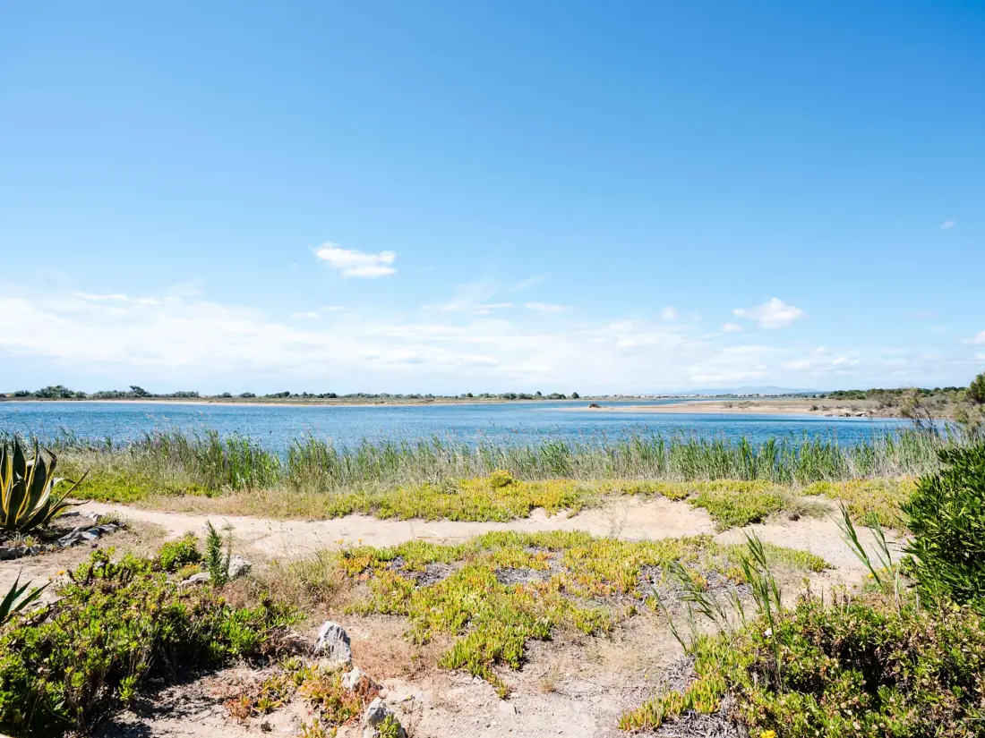 Location de Vacances Gruissan 371
