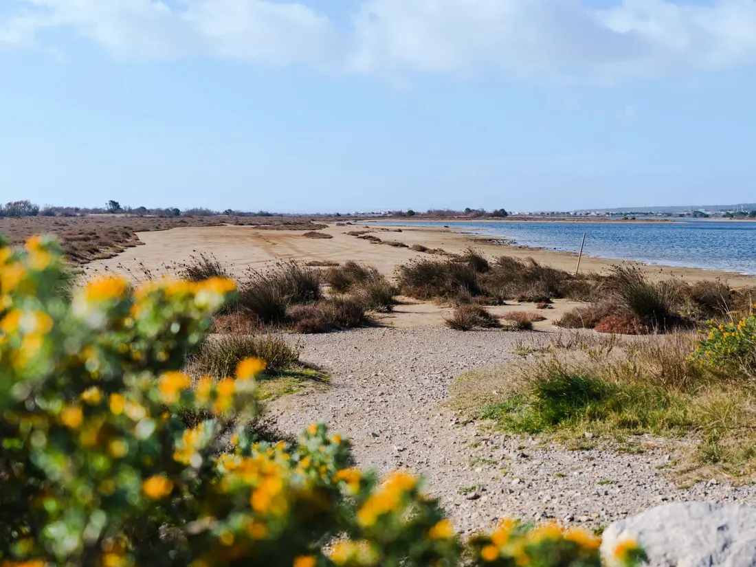 Maison de Vacances Gruissan 221