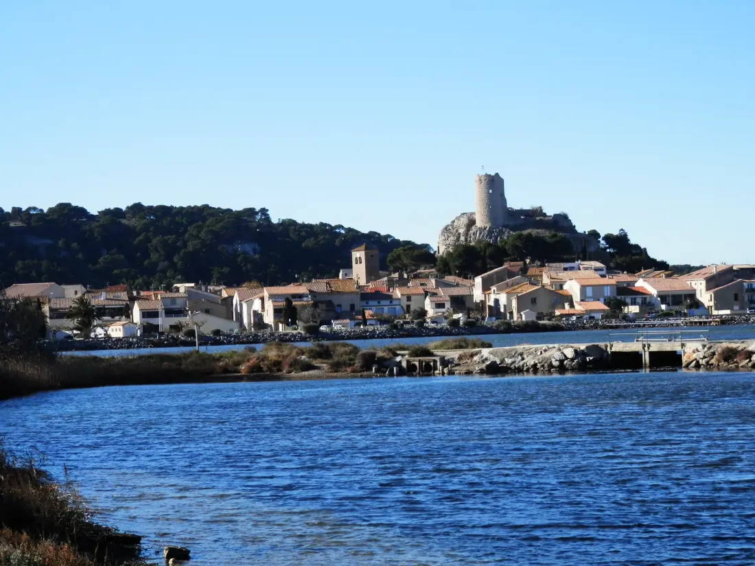 Maison de Vacances Gruissan 362