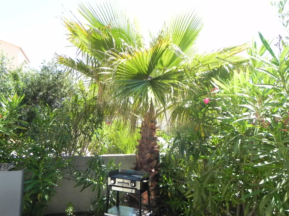 Maison de Vacances Gruissan