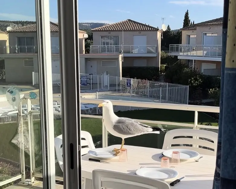 Résidence Hameau Du Phoebus