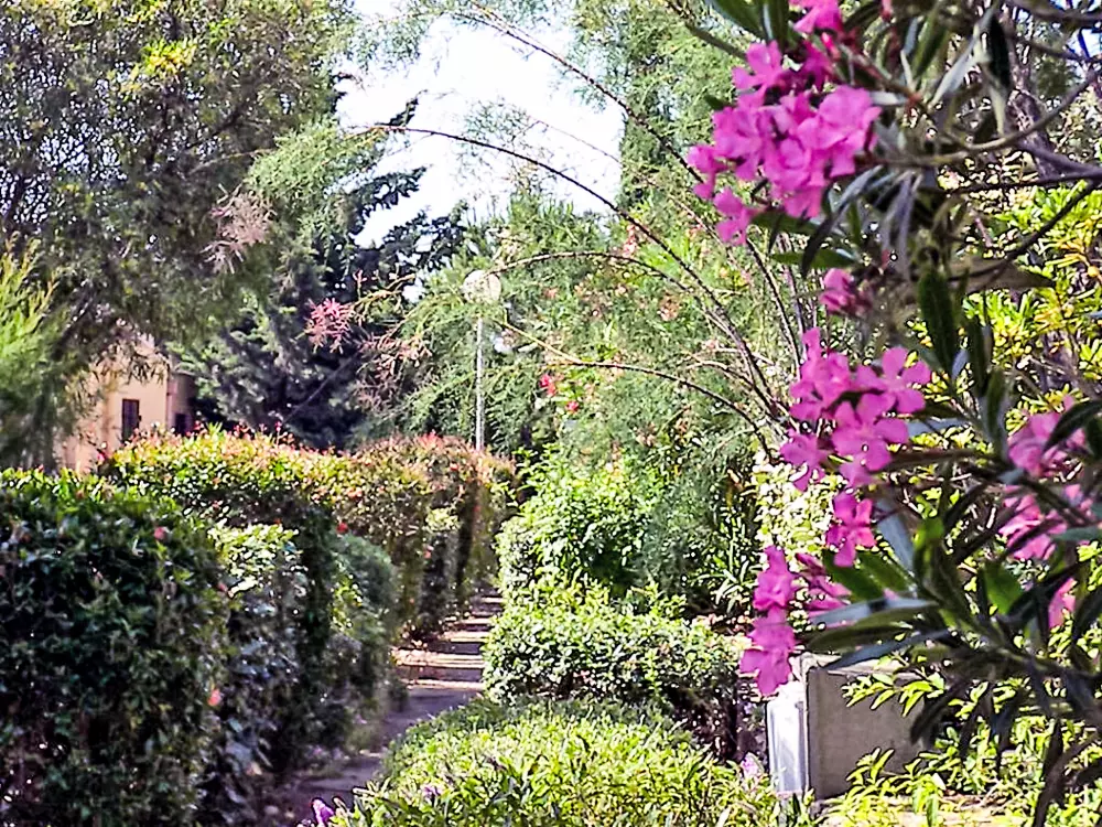 Résidence Les Romarines