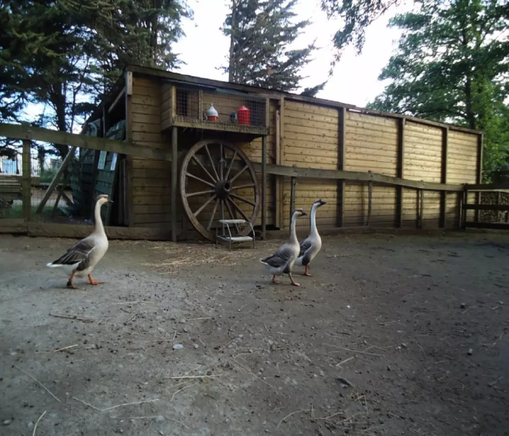 Camping Le Domaine de Brehadour4 étoiles★★★★