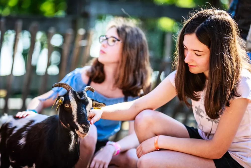 Camping Domaine de Bréhadour4 étoiles★★★★