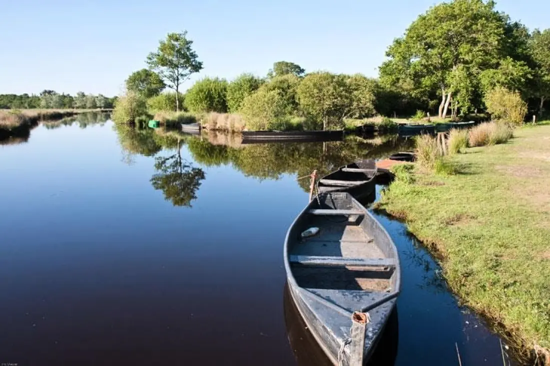 Camping L'Étang du Pays Blanc 4 étoiles★★★★