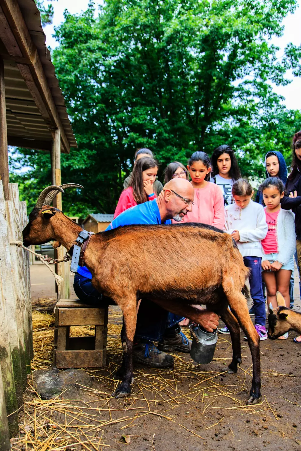 Camping Le Domaine de Bréhadour