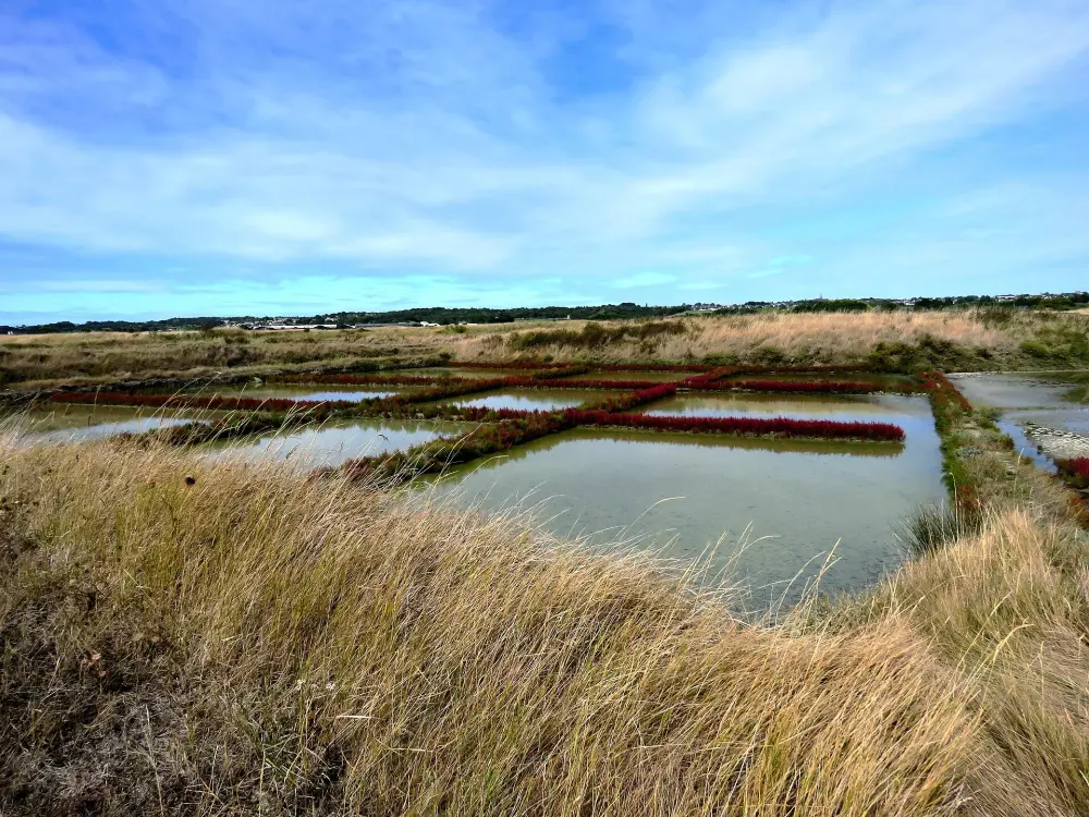 Camping Le Domaine de Bréhadour