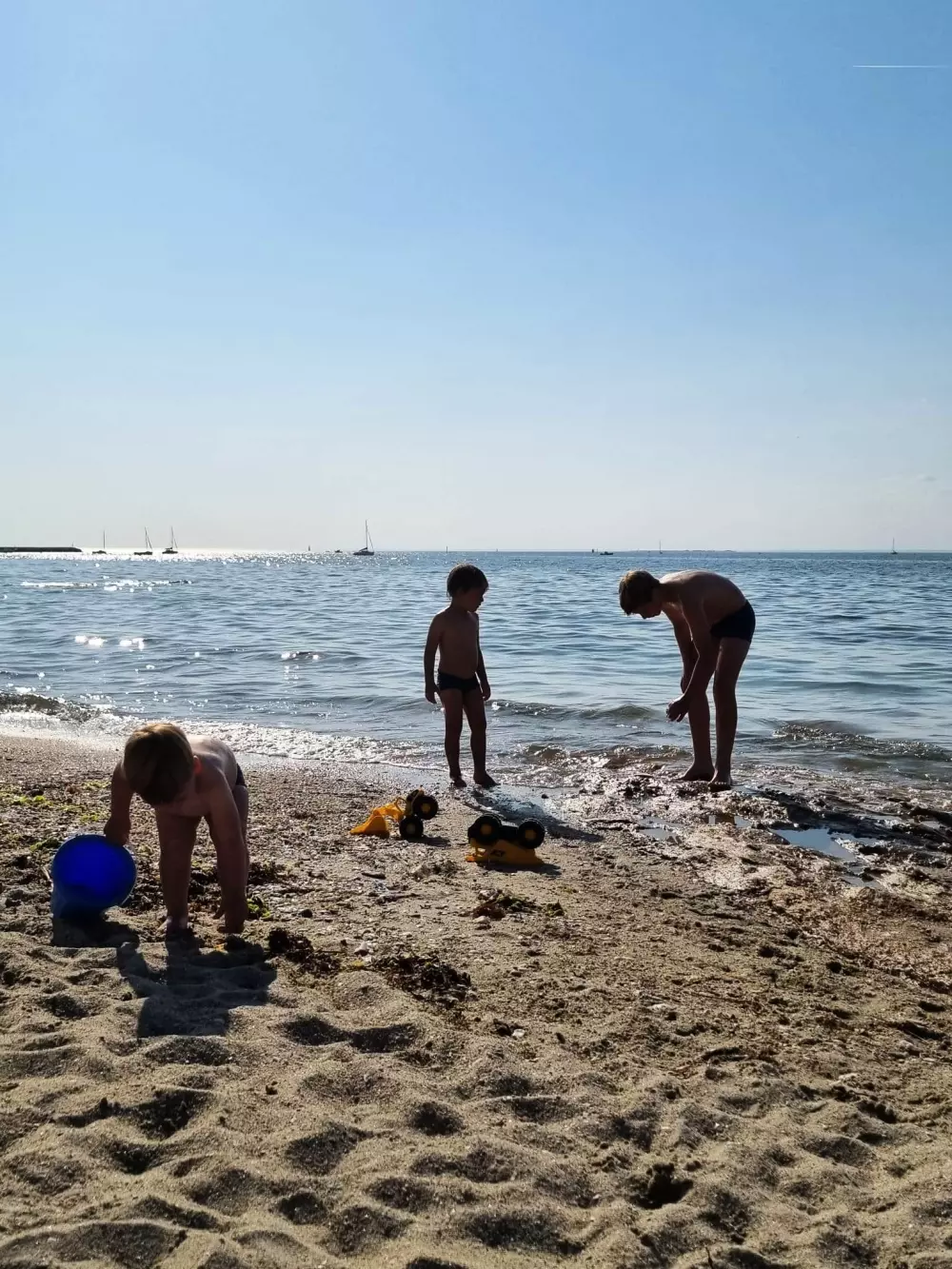 Camping Domaine du Mès 4 étoiles★★★★