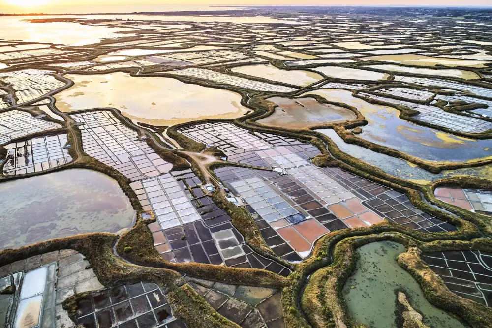 Camping Domaine du Mès 4 étoiles★★★★