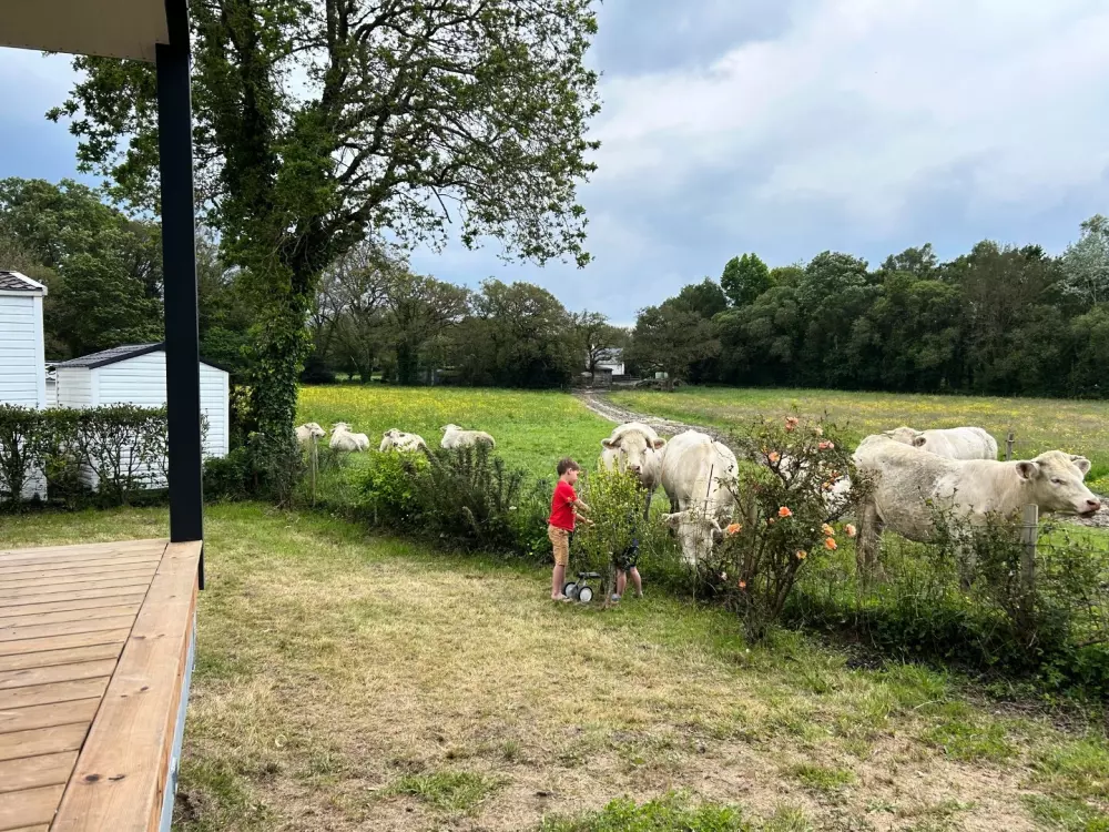 Camping Domaine du Mès 4 étoiles★★★★