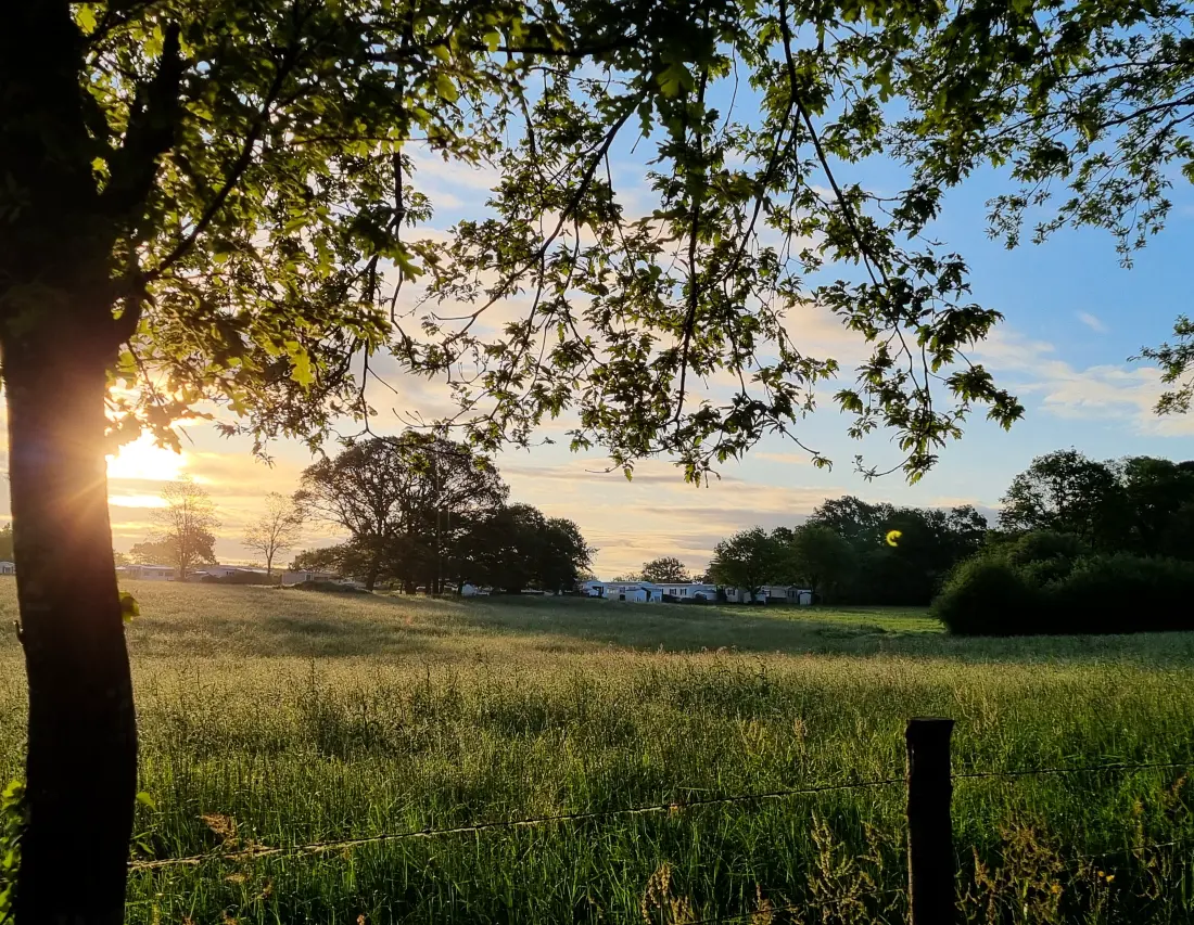Camping Domaine du Mès 4 étoiles★★★★