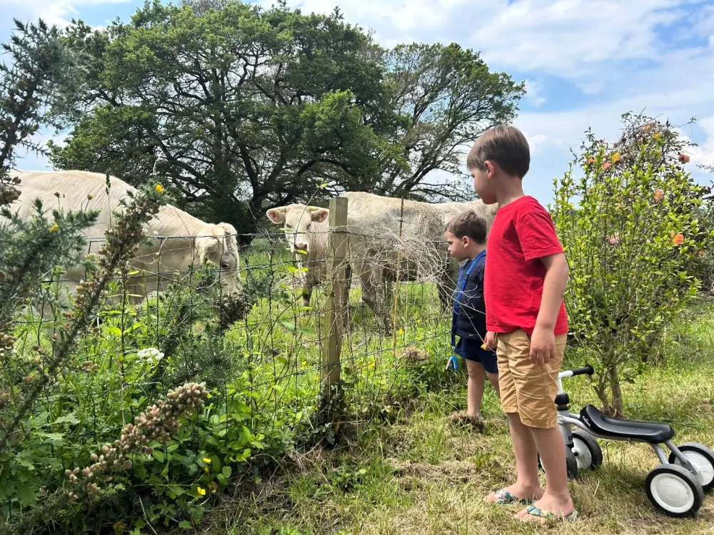 Camping Domaine du Mès 4 étoiles★★★★
