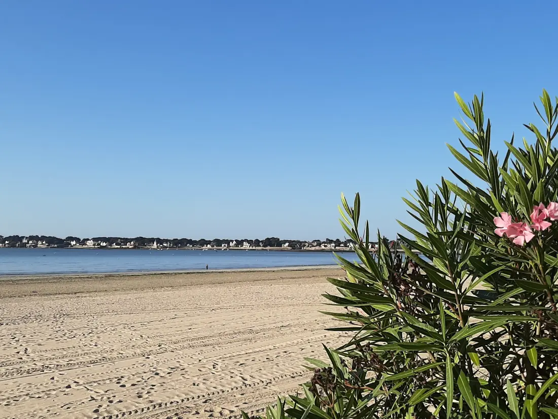Maison de Vacances GUERANDE 55