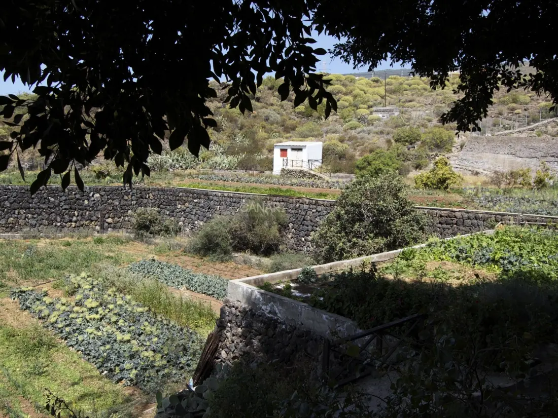 Maison de Vacances Guía de Isora 4